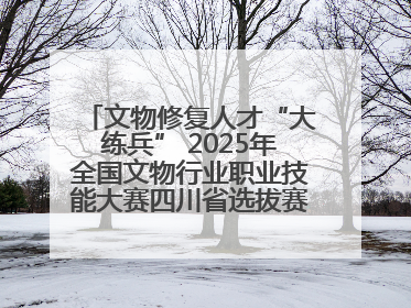 文物修复人才“大练兵” 2025年全国文物行业职业技能大赛四川省选拔赛即将启幕